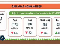 Báo Cáo Sản Xuất Nông Nghiệp